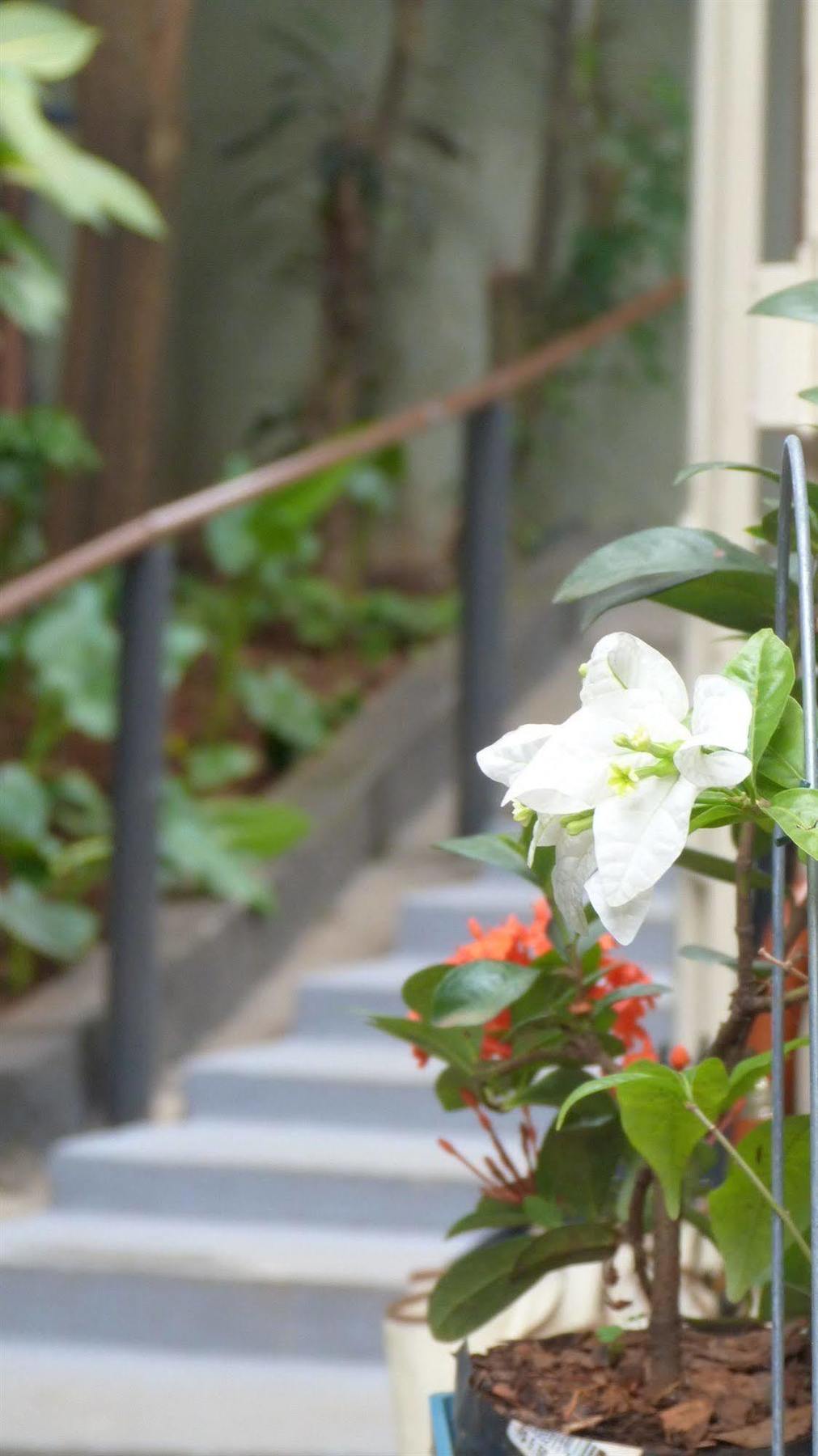 Olah Hostel - Vila Mariana เซาเปาโล ภายนอก รูปภาพ